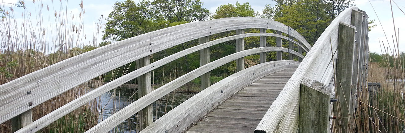 ryan park bridge ryan park bridge